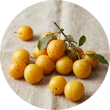 mirabelki