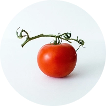 pomidor